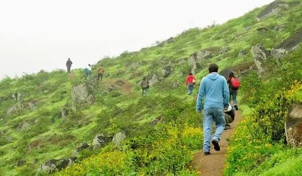 Descubre las mejores escapadas a la naturaleza cerca de Lima para los aventureros Las mejores escapadas a la naturaleza cerca de Lima