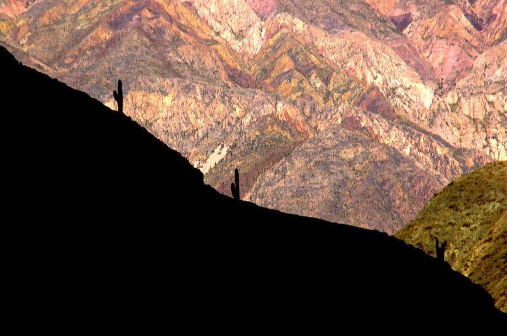 The Best Wonders of Backpacking South America: En route to Lima cactus vs mnts
