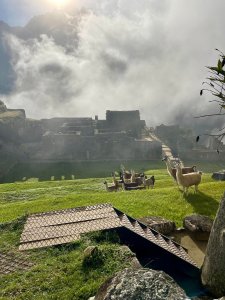 Discovering Machu Picchu Ruins