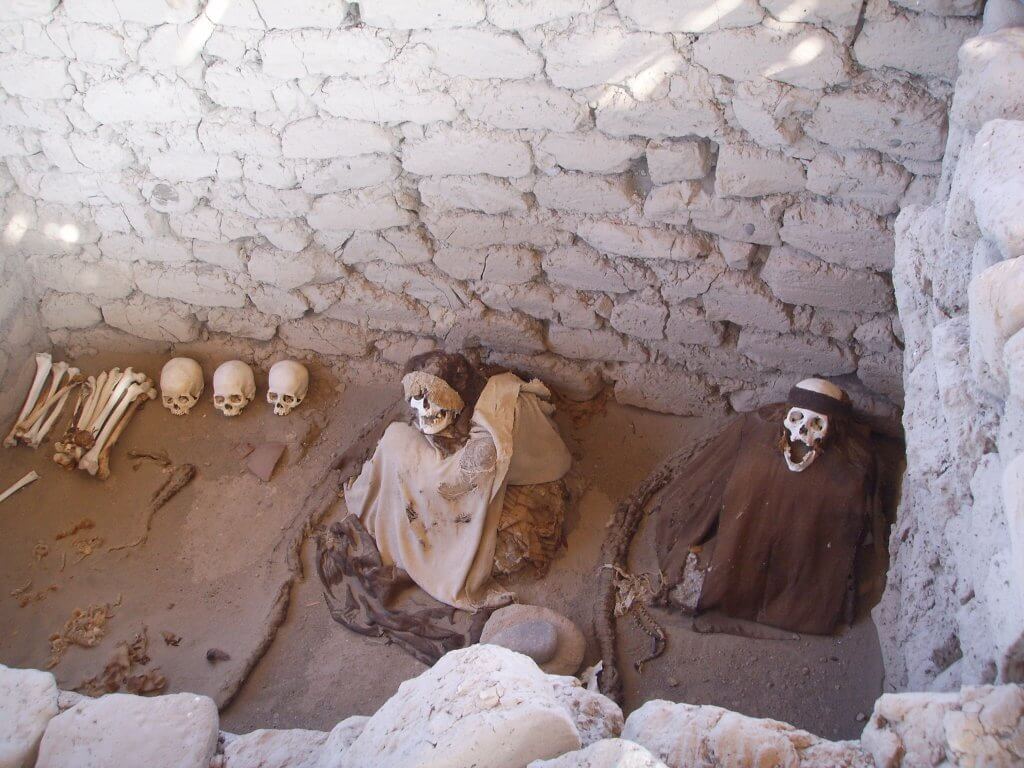skeletons and skulls in a stone wall