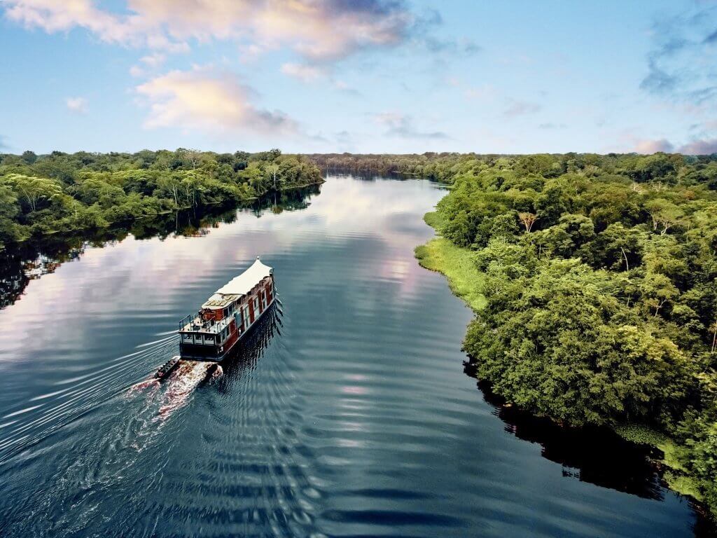 amazon rainforest