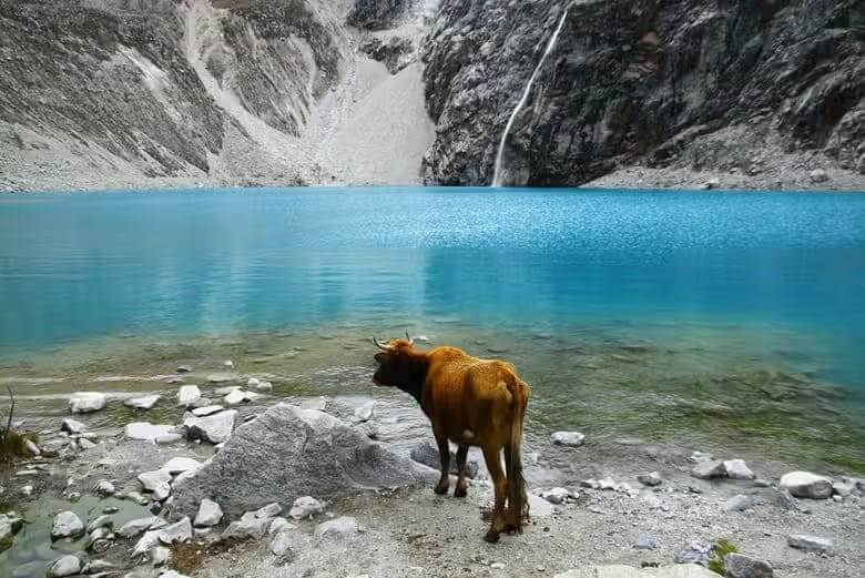 Ultimate Laguna 69 Hiking Guide: Weather, Tours, Difficulty & Tips Laguna 69